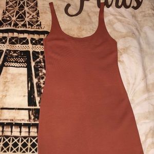 NWT rose/ nude pink bodycon dress